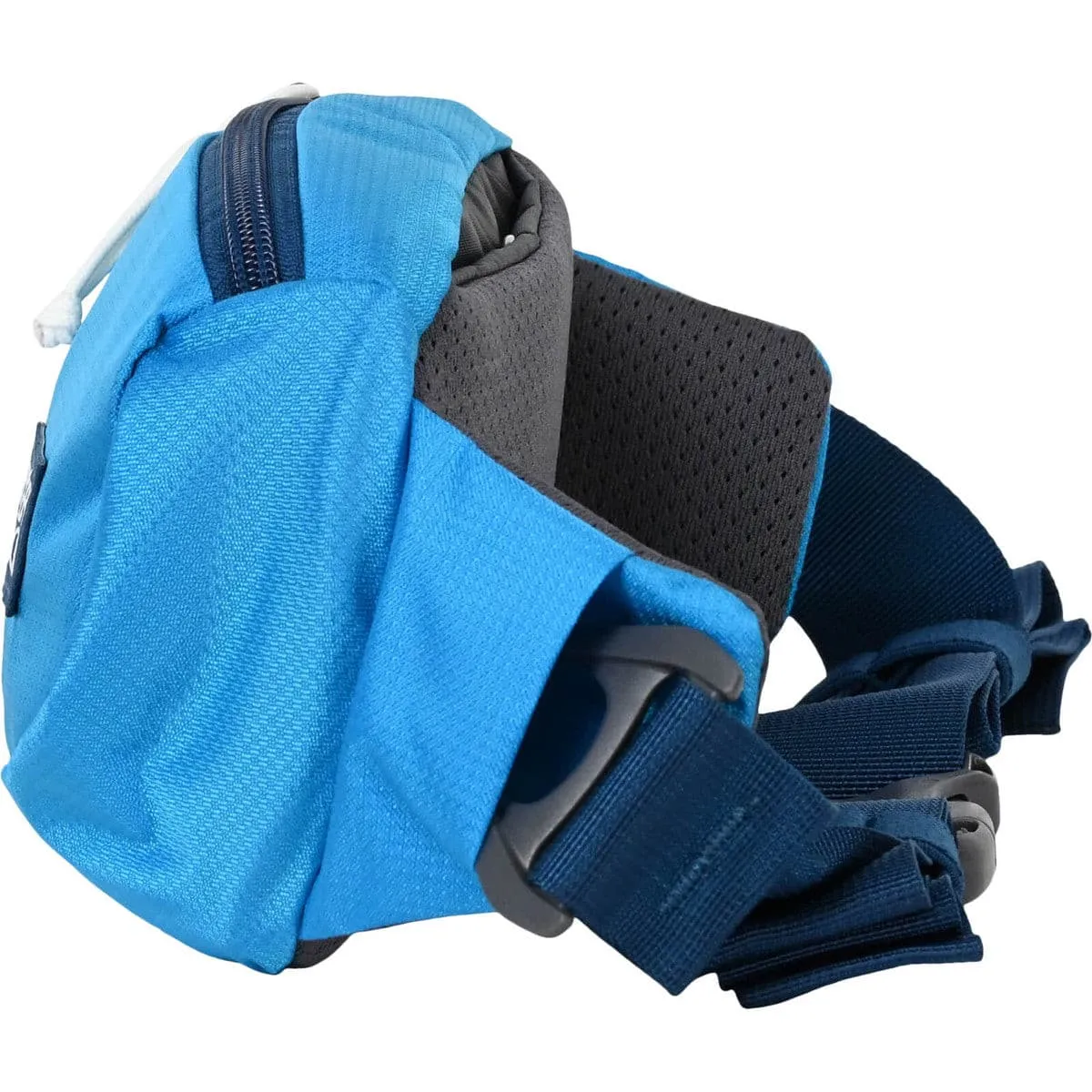 Forager Hip Pack