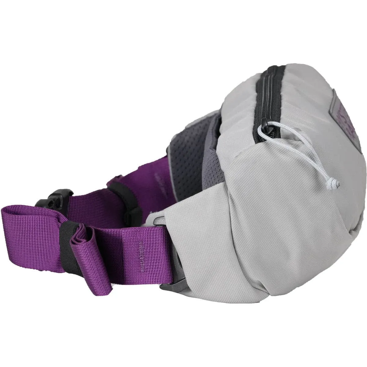 Forager Hip Pack