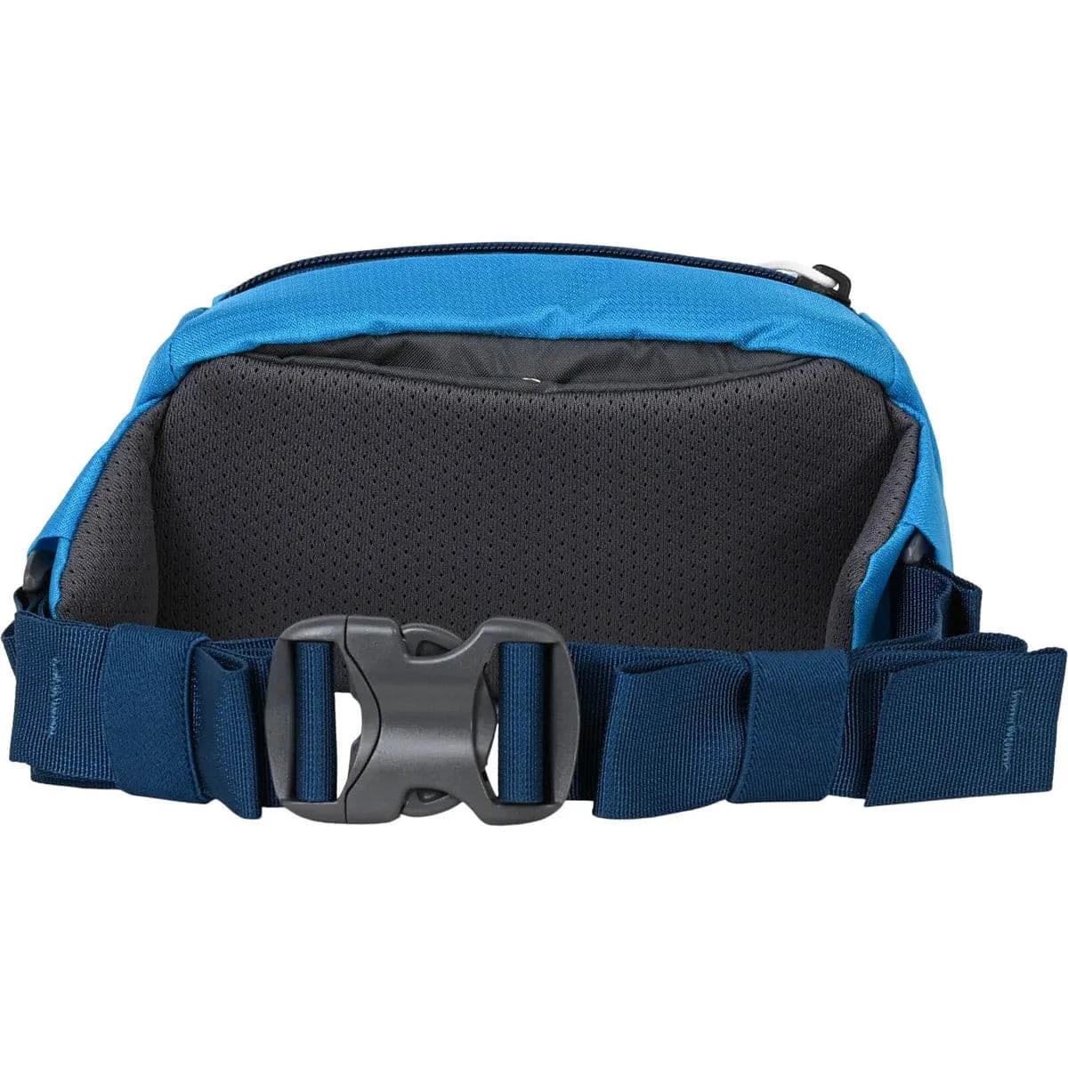 Forager Hip Pack