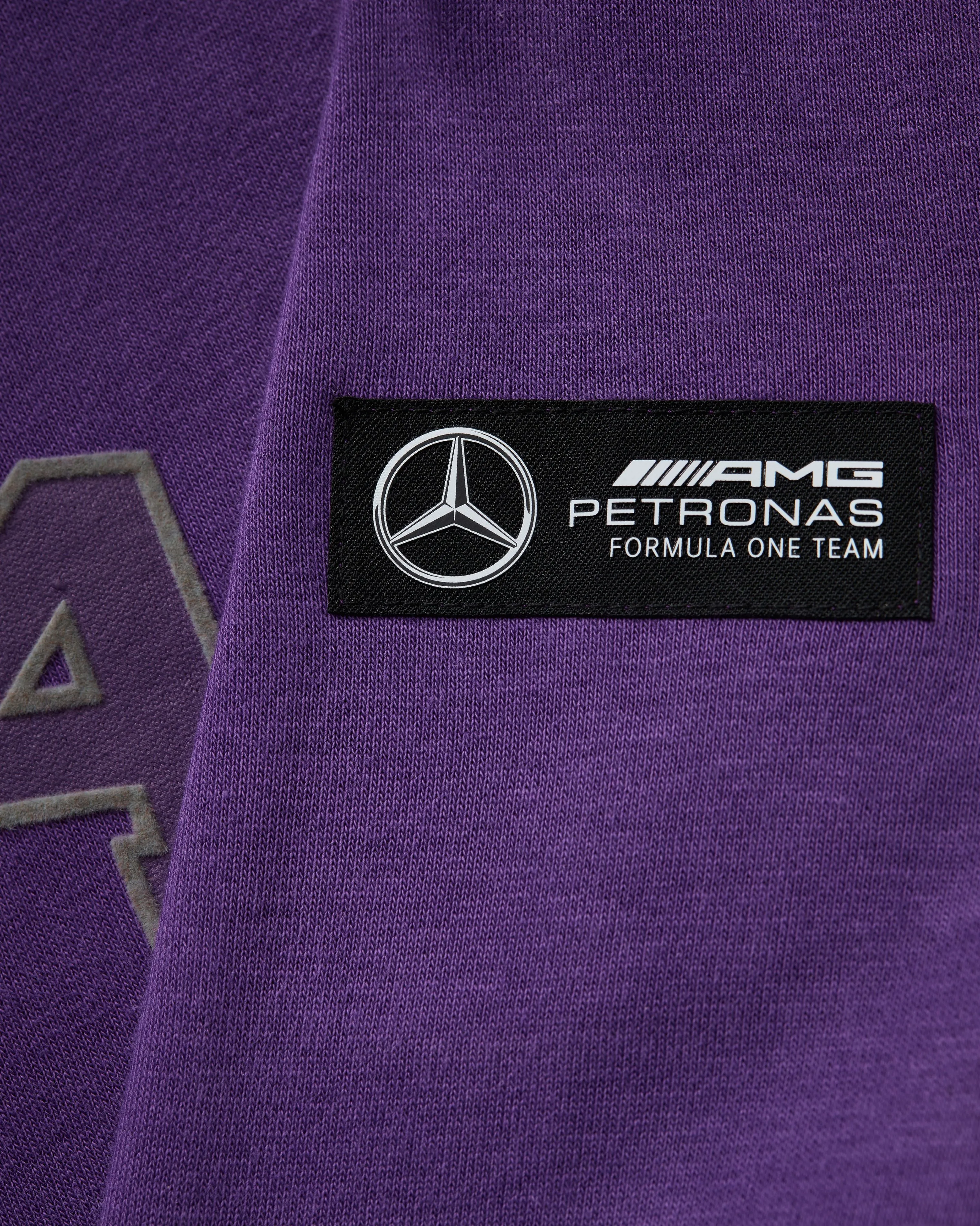 Kids Lewis Hamilton Hoody Purple