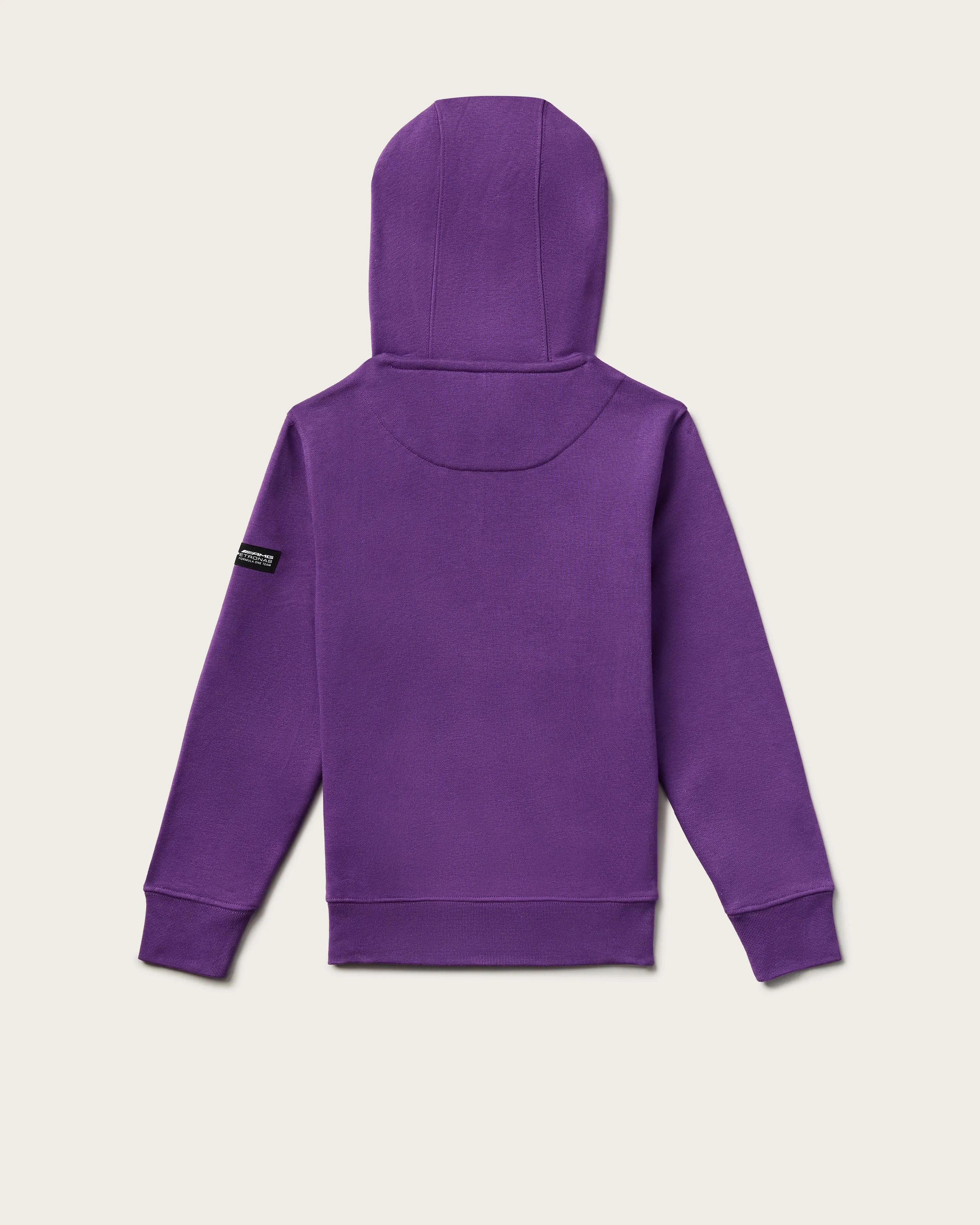 Kids Lewis Hamilton Hoody Purple